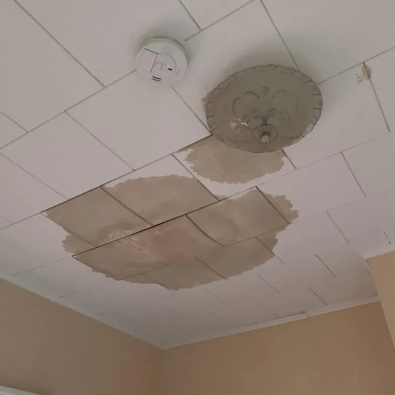 Ceiling Water Damage Repair in Stephenville, TX