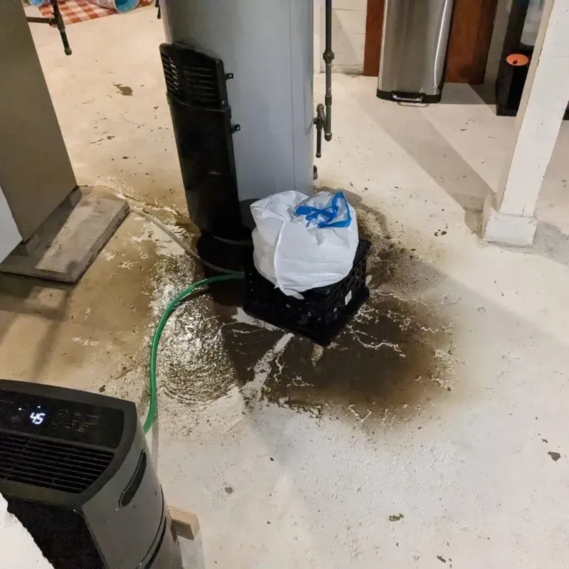 Sewage Backup Cleanup Service in Stephenville, TX